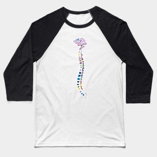 Funfetti Brain and Spine (White background) Baseball T-Shirt